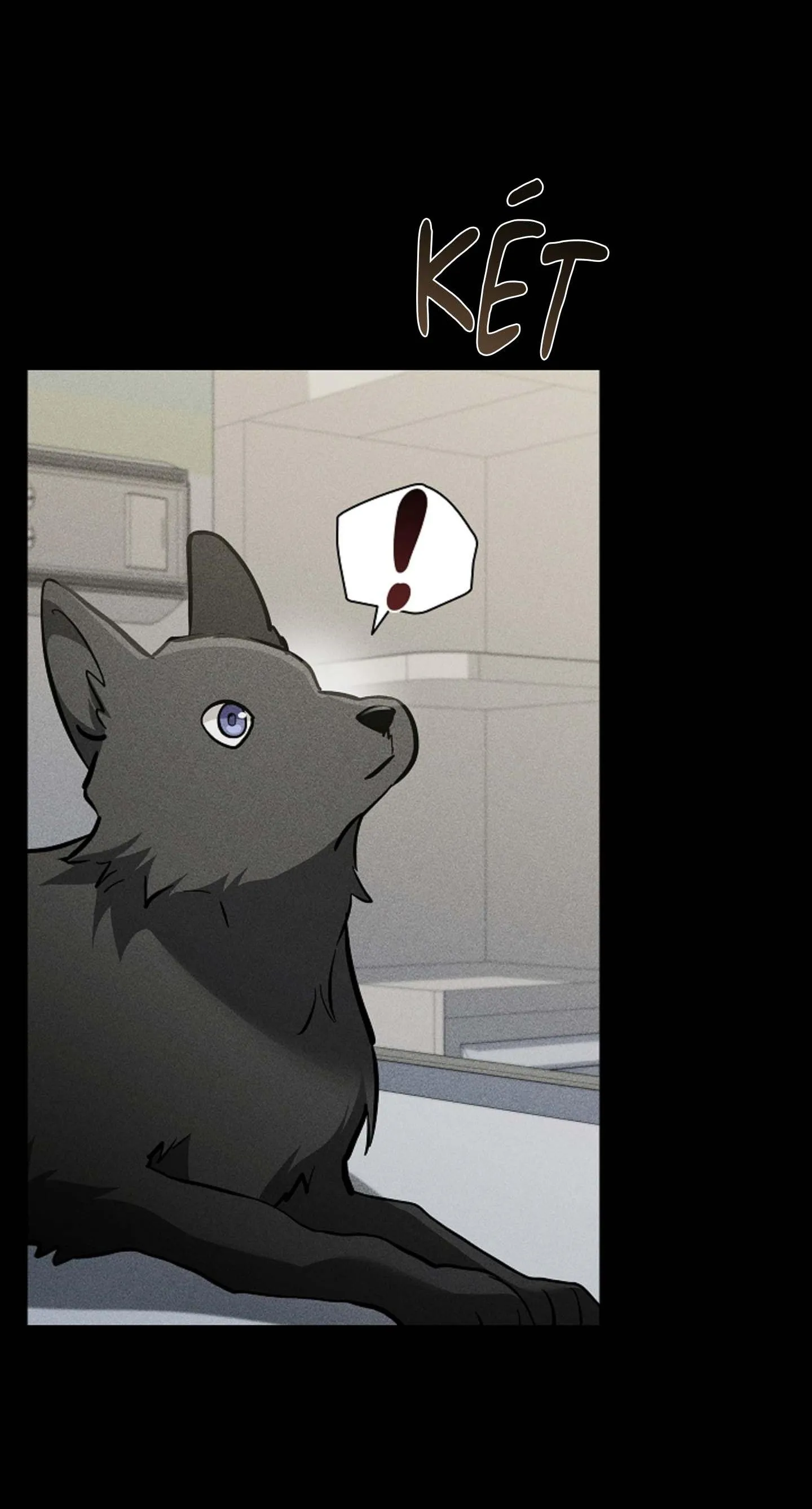 ĐỪNG ĐỘNG VÀO CÚN CON! Chapter 38 Trang 64