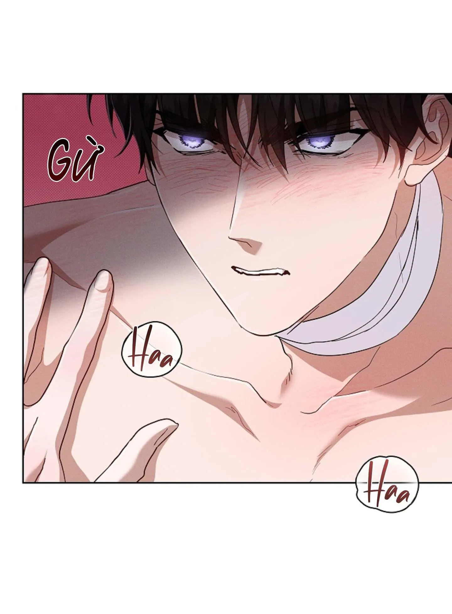 ĐỪNG ĐỘNG VÀO CÚN CON! Chapter 41 Trang 10