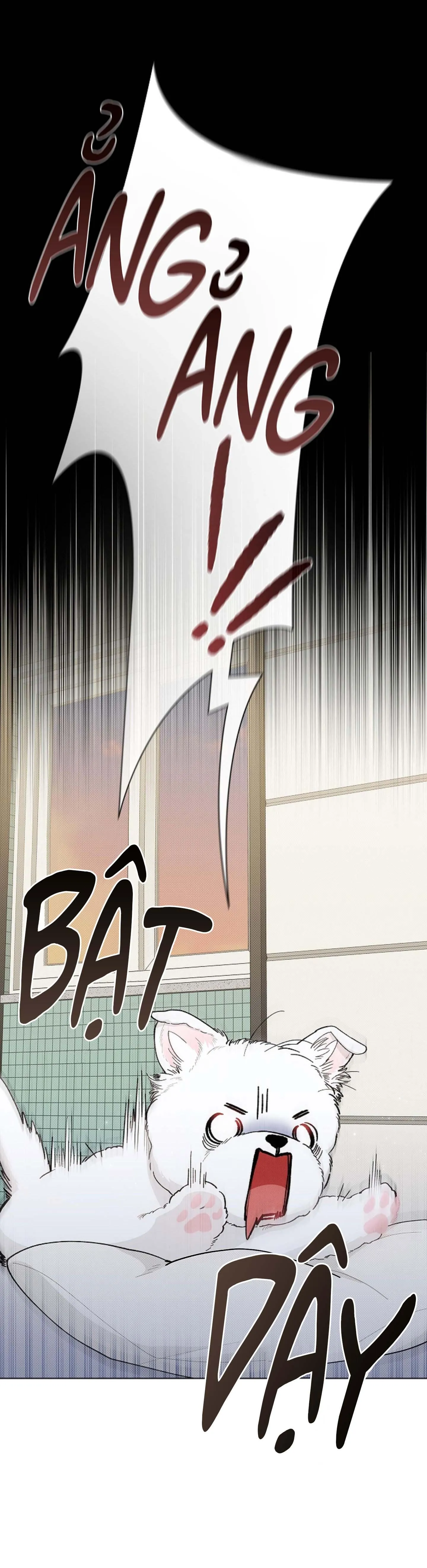 ĐỪNG ĐỘNG VÀO CÚN CON! Chapter 1 Trang 8