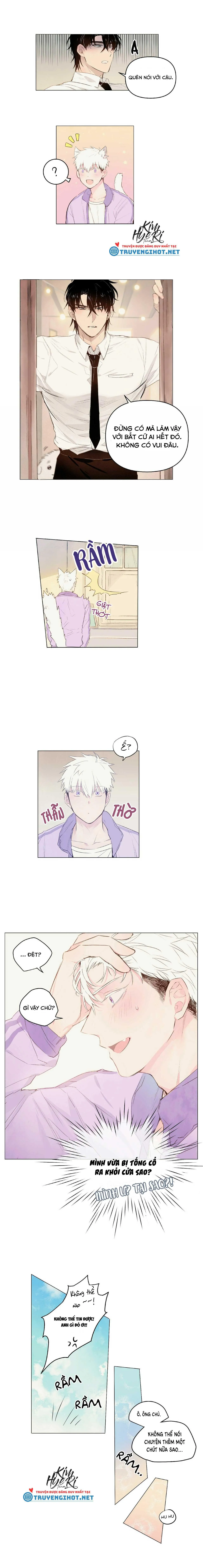 ĐỪNG ĐƯA DÂY XÍCH CHO ANH ẤY Chapter 10 Trang 7