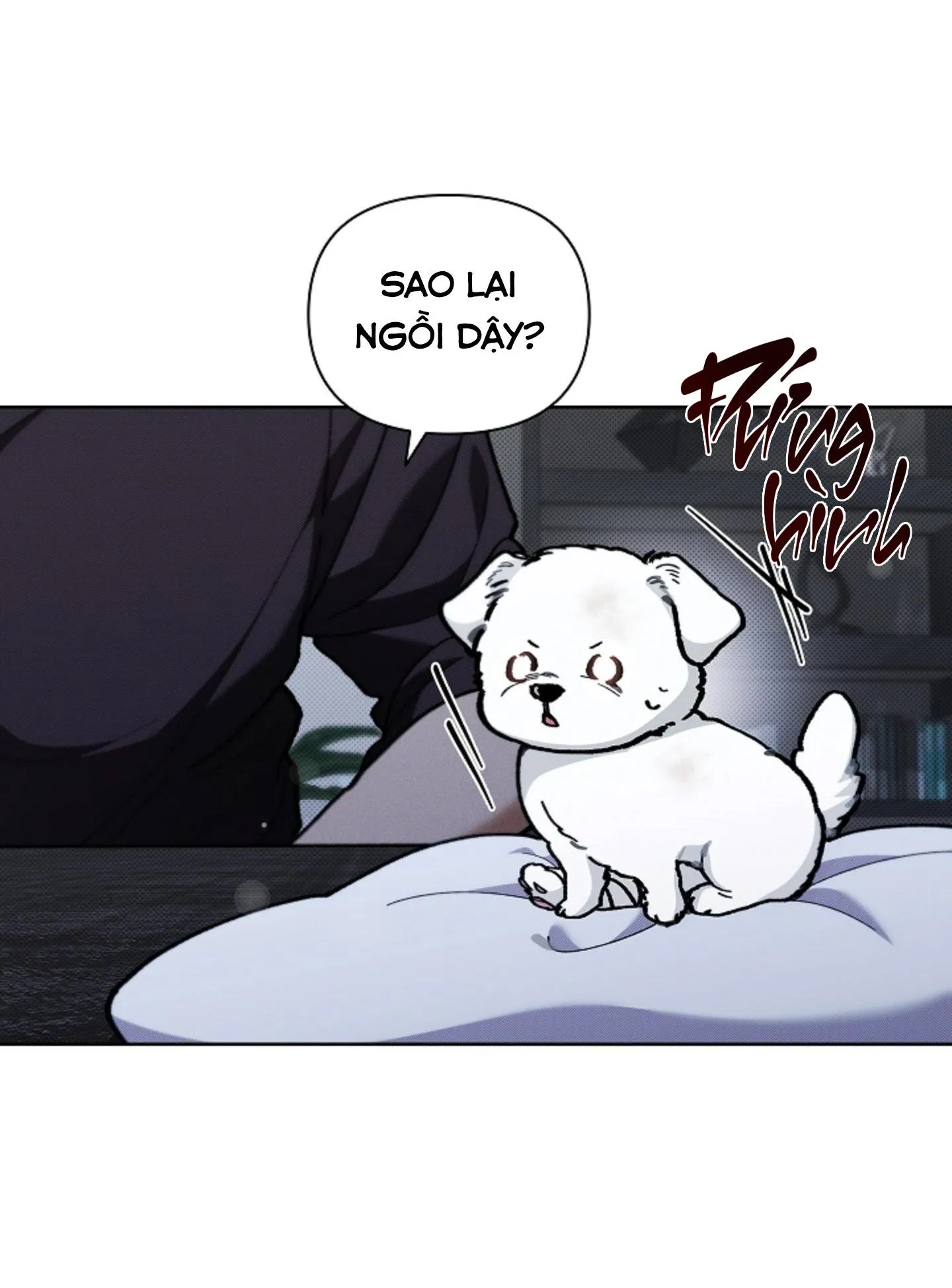 ĐỪNG ĐỤNG VÀO BÉ CÚN Chapter 3 Trang 64