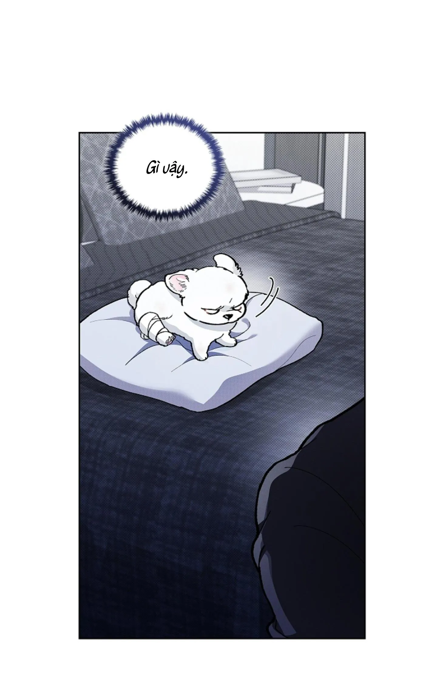 ĐỪNG ĐỤNG VÀO BÉ CÚN Chapter 3 Trang 65