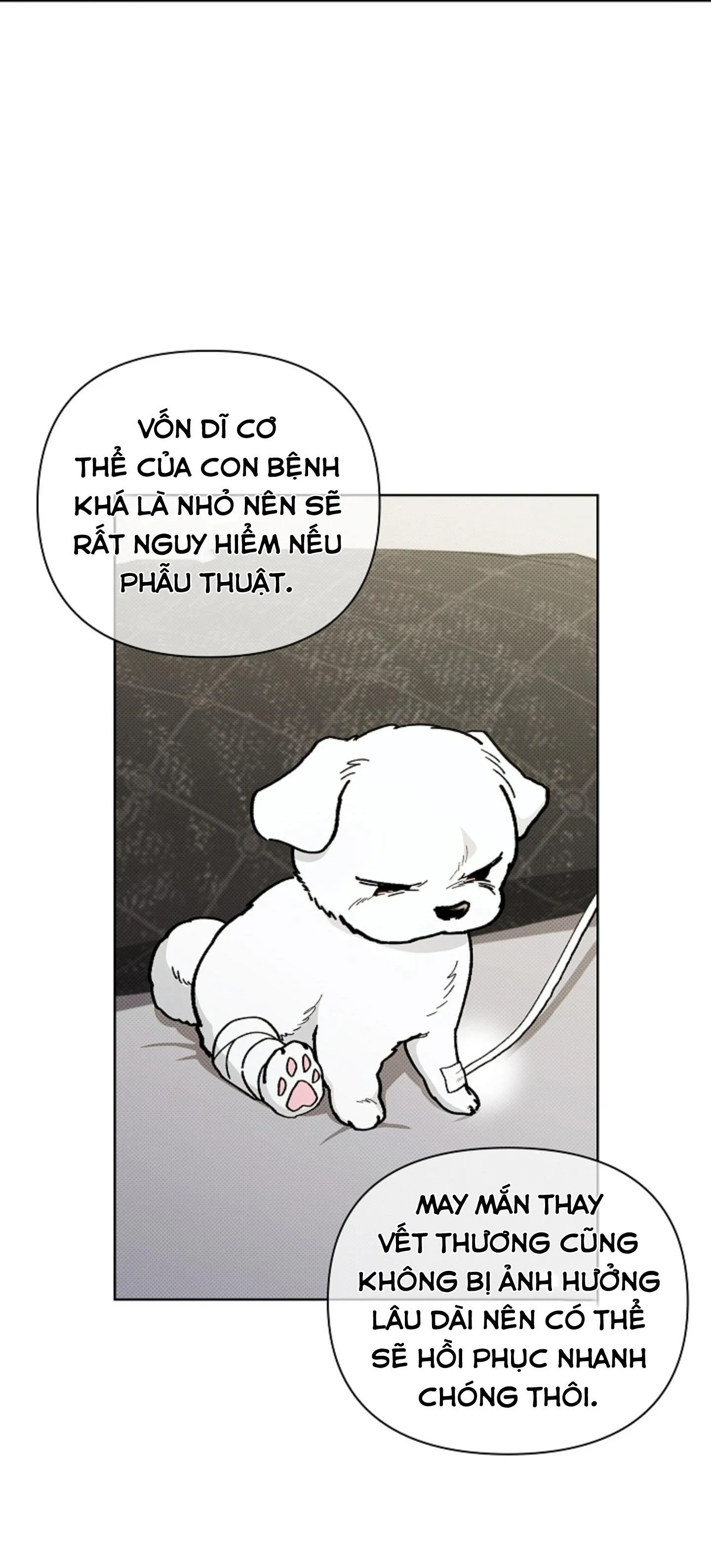 ĐỪNG ĐỤNG VÀO BÉ CÚN Chapter 4 Trang 3