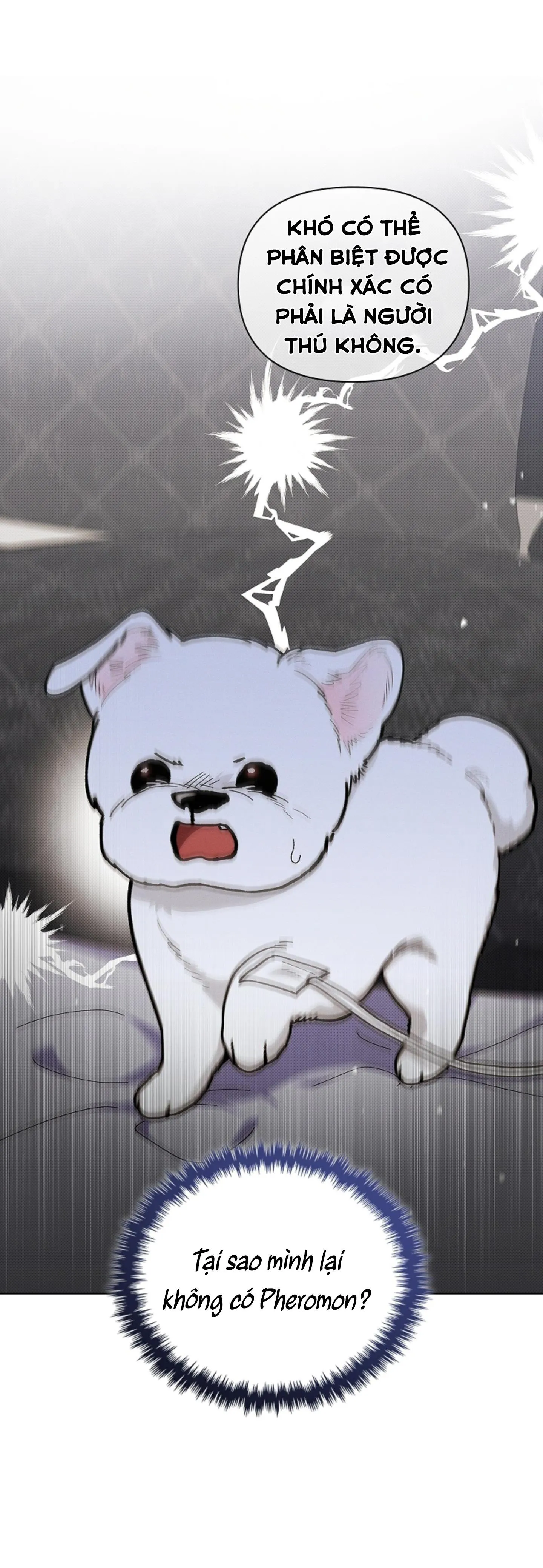 ĐỪNG ĐỤNG VÀO BÉ CÚN Chapter 4 Trang 6