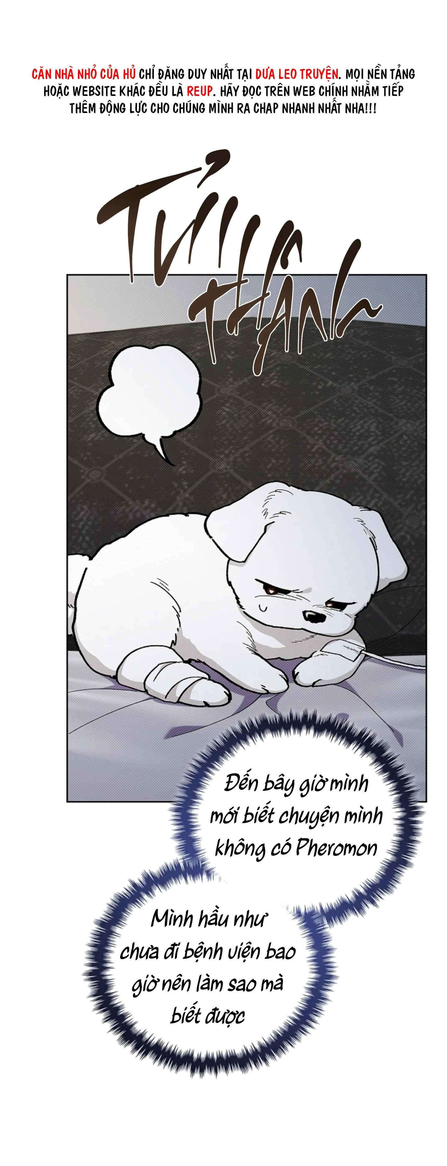 ĐỪNG ĐỤNG VÀO BÉ CÚN Chapter 4 Trang 8