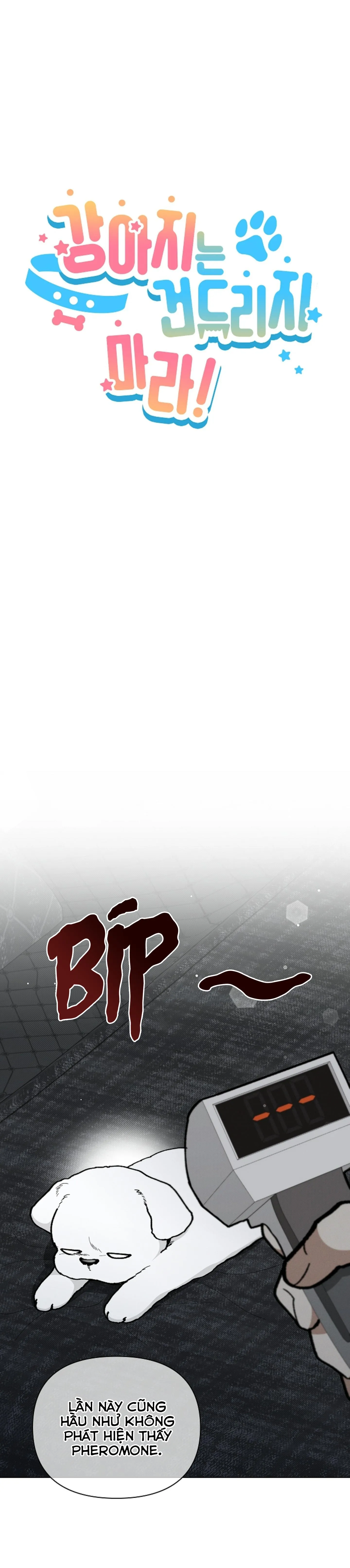 ĐỪNG ĐỤNG VÀO BÉ CÚN Chapter 7 Trang 7