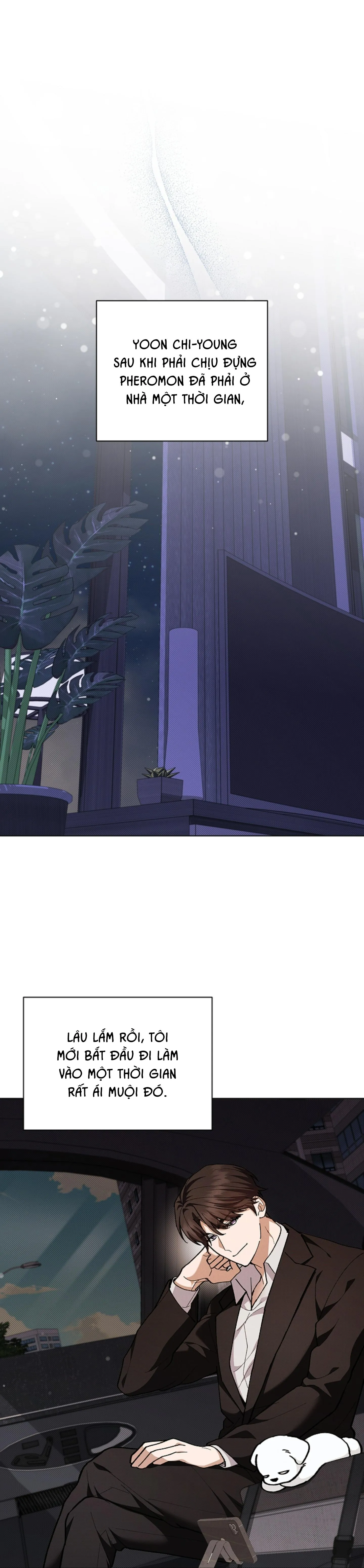 ĐỪNG ĐỤNG VÀO BÉ CÚN Chapter 7 Trang 33