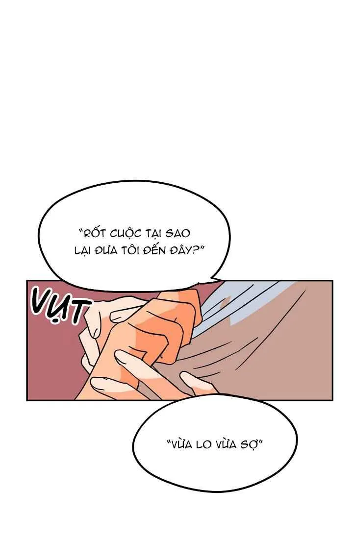 Dừng Lại, Tài Xế Chapter 27 Trang 3