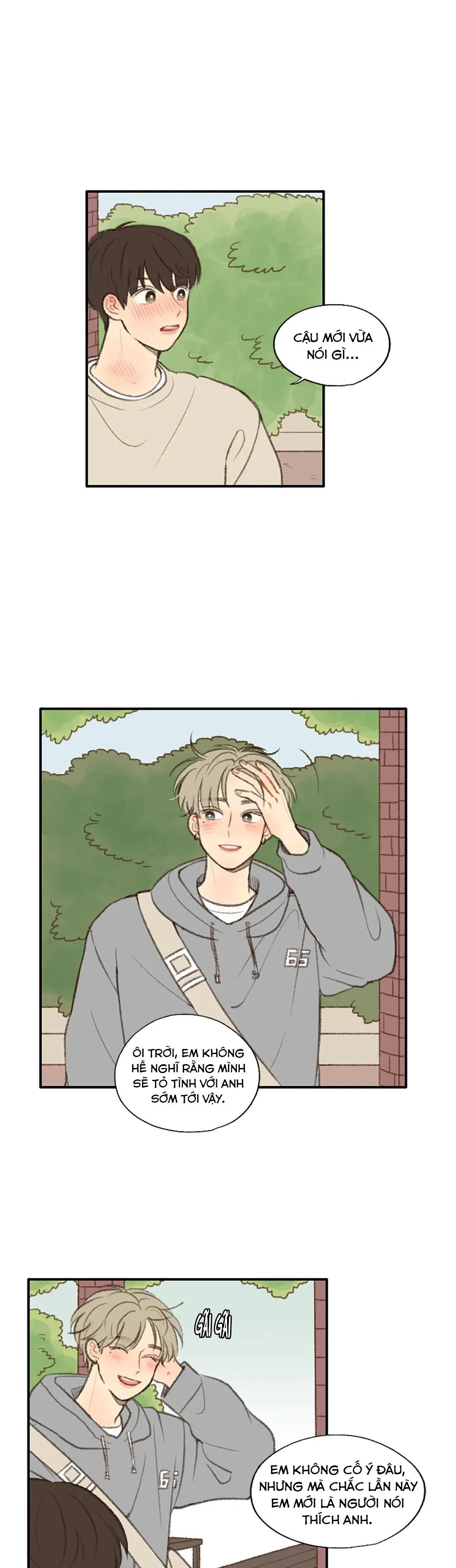 Đừng Quên Rằng Anh Thích Em Chapter 19 Trang 3