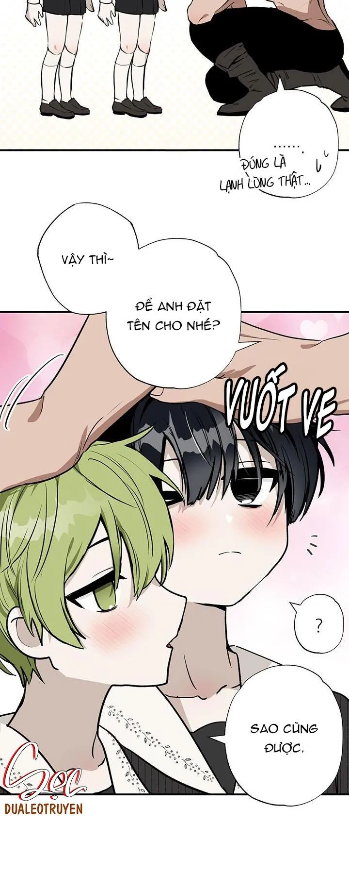 DŨNG SĨ KHÔNG ĐƯỢC ĐI QUA LỐI ĐÓ Chapter 3 Trang 29