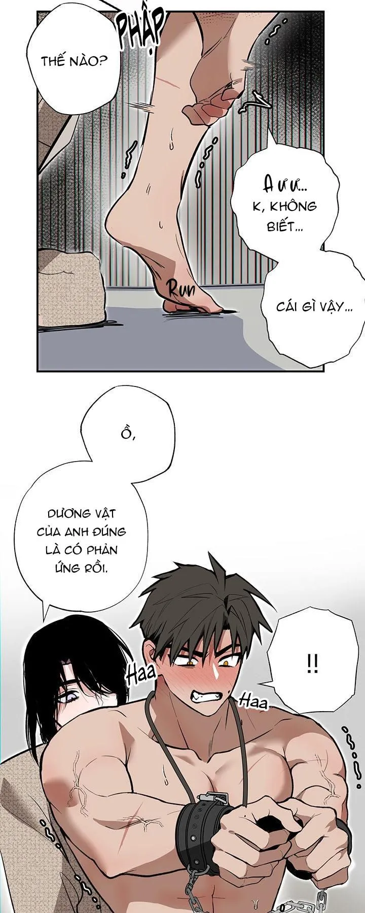 DŨNG SĨ KHÔNG ĐƯỢC ĐI QUA LỐI ĐÓ Chapter 5 Trang 8