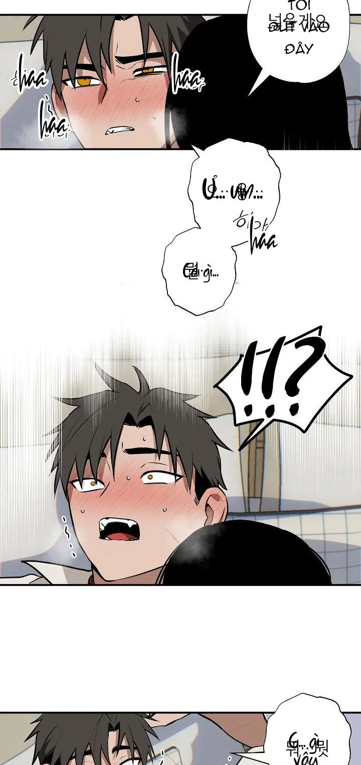 DŨNG SĨ KHÔNG ĐƯỢC ĐI QUA LỐI ĐÓ Chapter 7 Trang 17