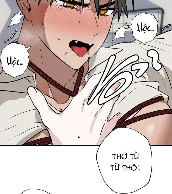 DŨNG SĨ KHÔNG ĐƯỢC ĐI QUA LỐI ĐÓ Chapter 7 Trang 23