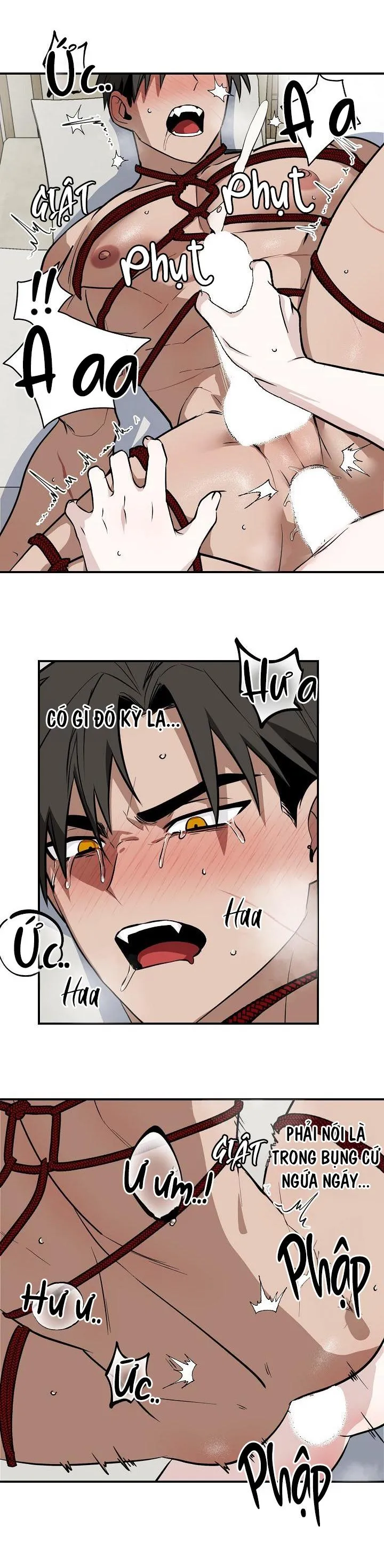 DŨNG SĨ KHÔNG ĐƯỢC ĐI QUA LỐI ĐÓ Chapter 8 Trang 6