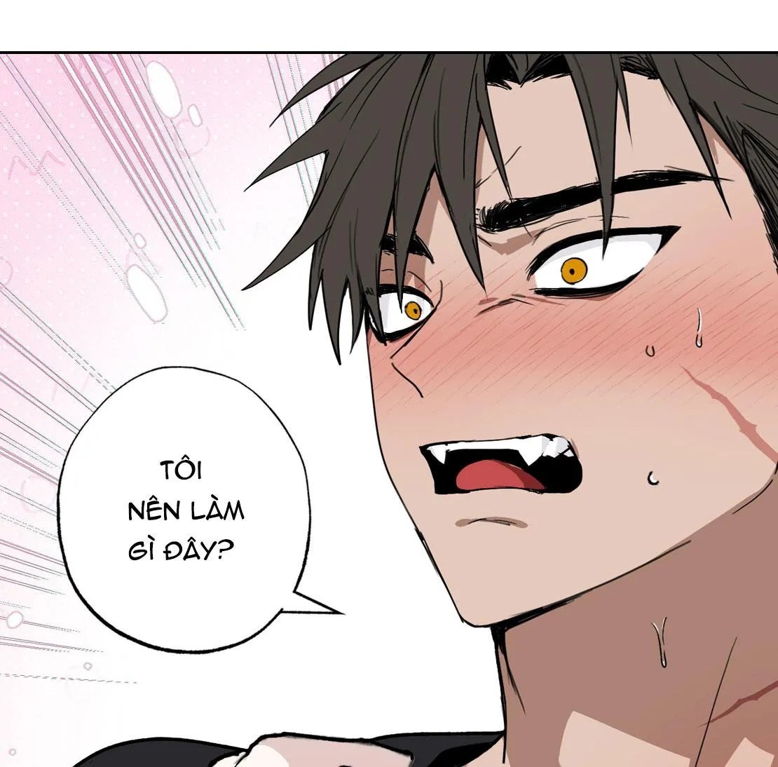 DŨNG SĨ KHÔNG ĐƯỢC ĐI QUA LỐI ĐÓ Chapter 0 Trang 13