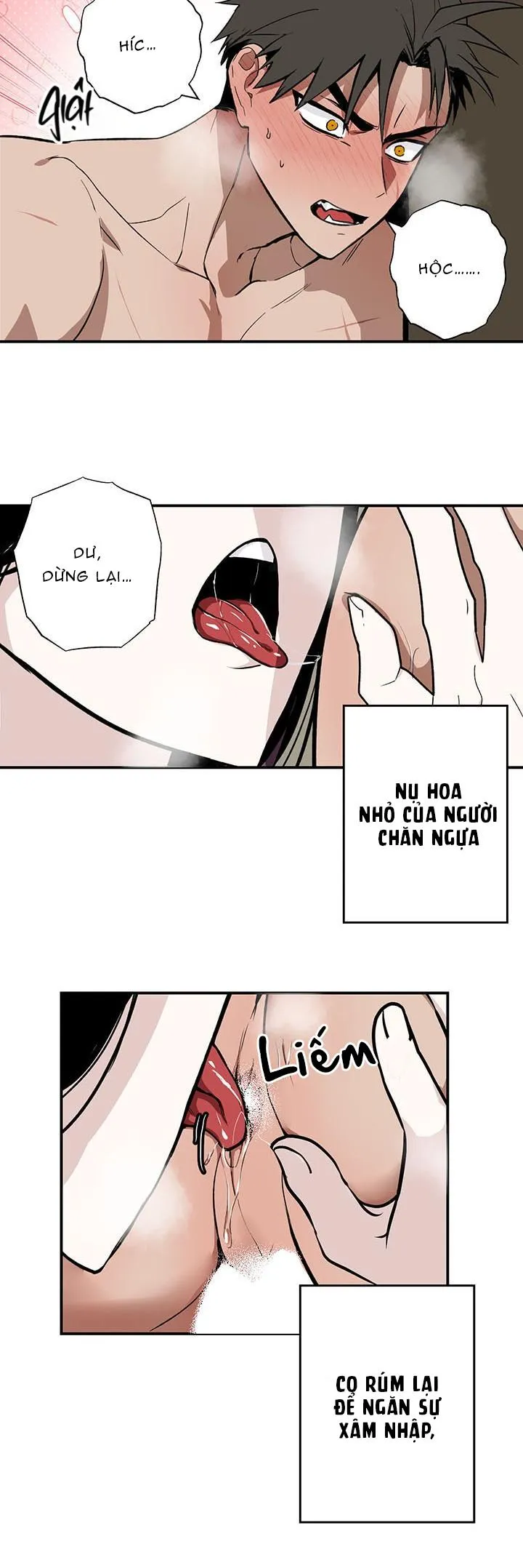 DŨNG SĨ, KHÔNG ĐƯỢC XUẤT TINH Chapter 4 Trang 19