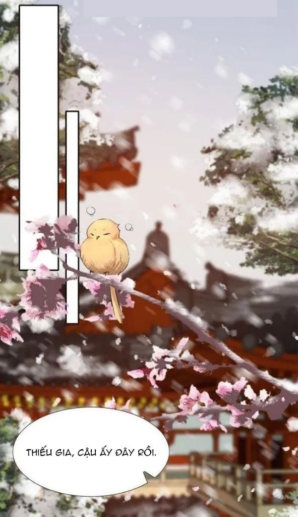 Dùng Tiền Mua Phu Quân Chapter 3 Trang 31
