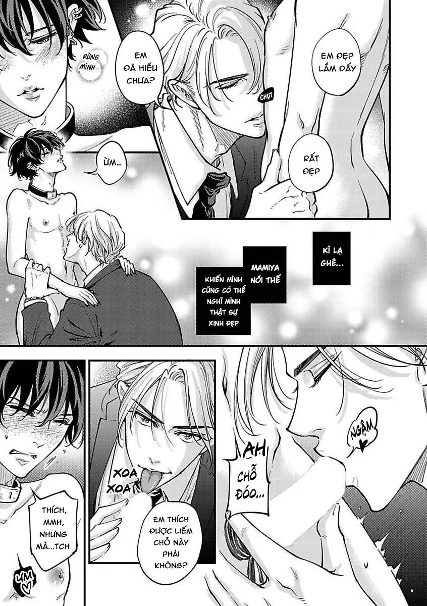 Được Đại Ca Yakuza Cưng Chiều Chapter 9 Trang 7