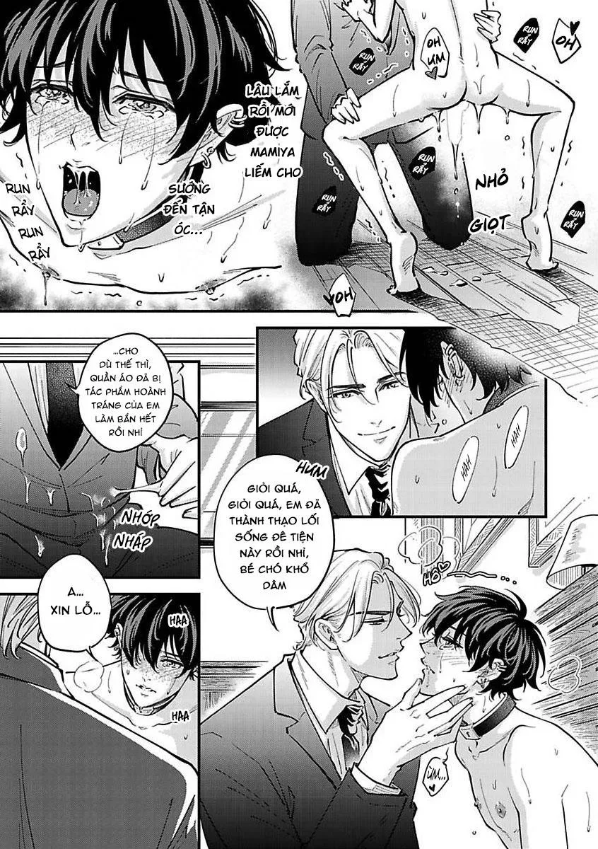 Được Đại Ca Yakuza Cưng Chiều Chapter 9 Trang 11