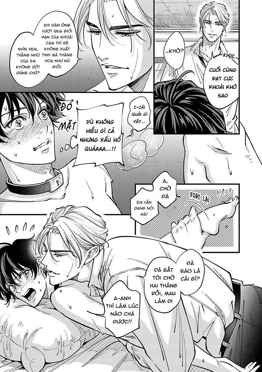 Được Đại Ca Yakuza Cưng Chiều Chapter 9 Trang 19