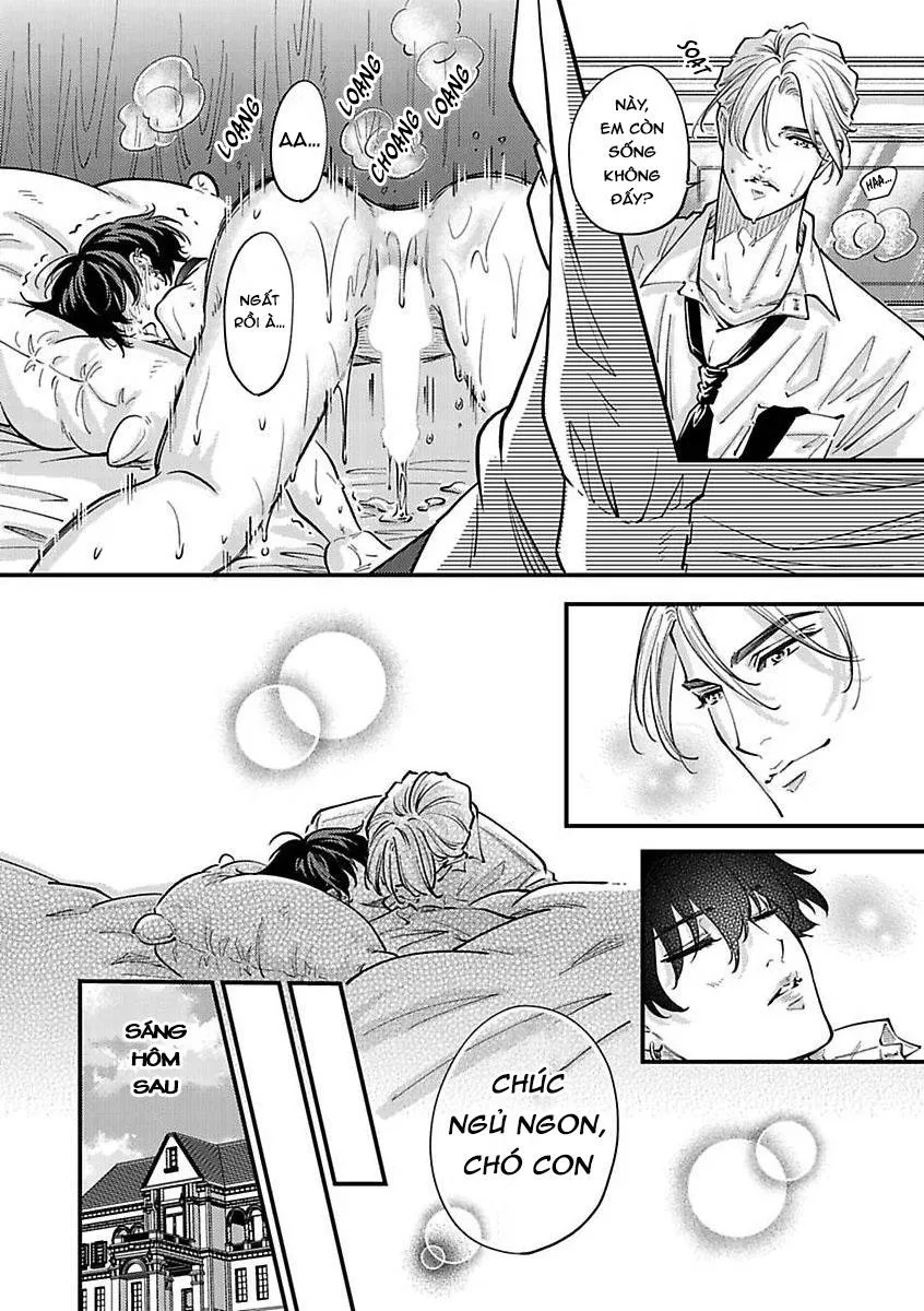 Được Đại Ca Yakuza Cưng Chiều Chapter 9 Trang 22