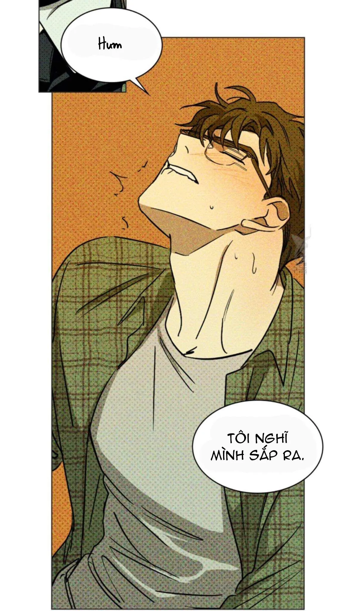 DƯỚI ÁNH ĐÈN XANH Chapter 3 Trang 32