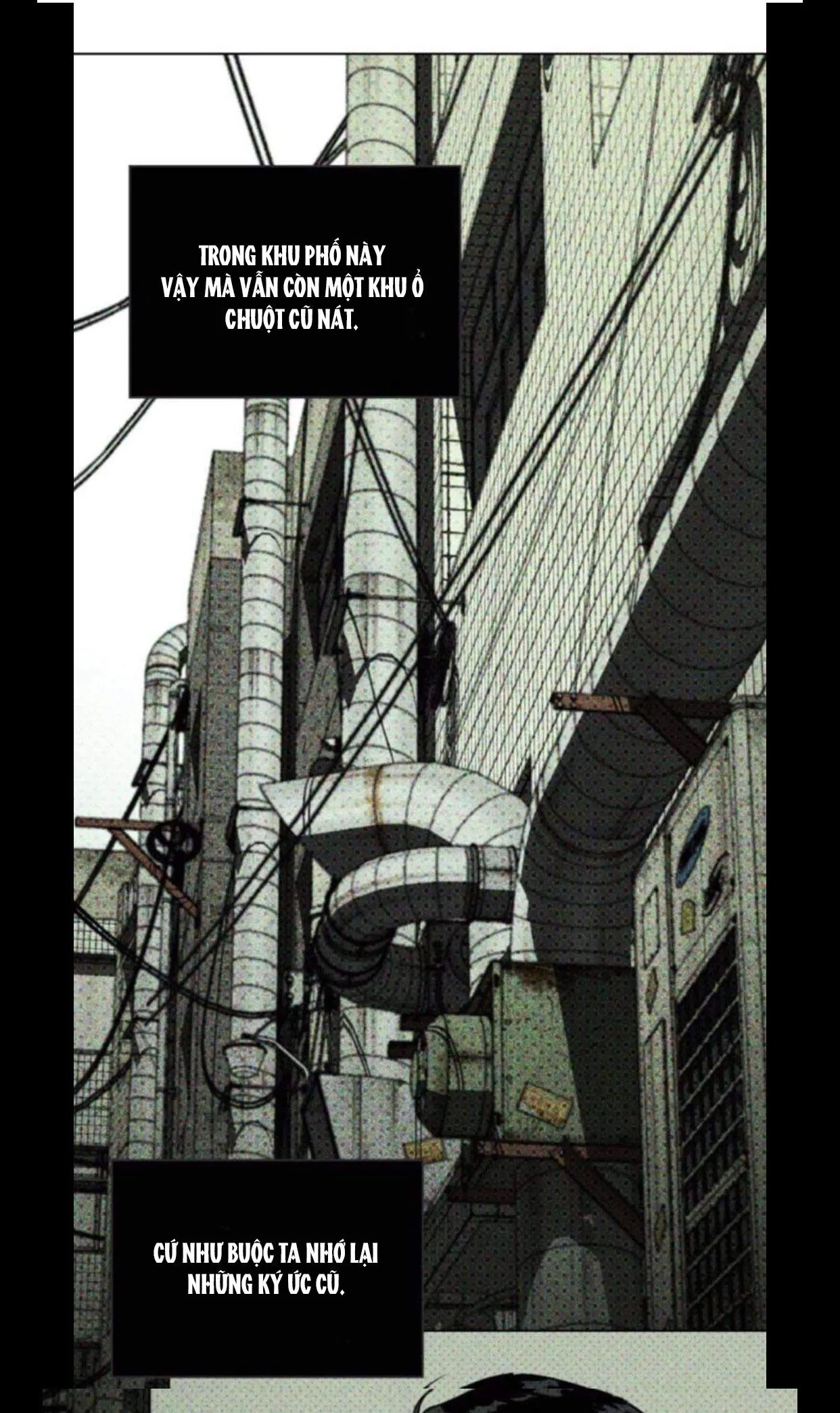 DƯỚI ÁNH ĐÈN XANH Chapter 5 Trang 13