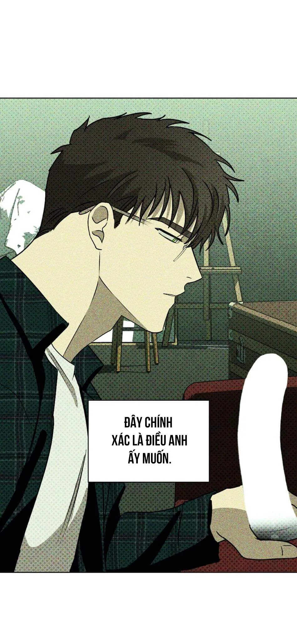 DƯỚI ÁNH ĐÈN XANH Chapter 11 Trang 19