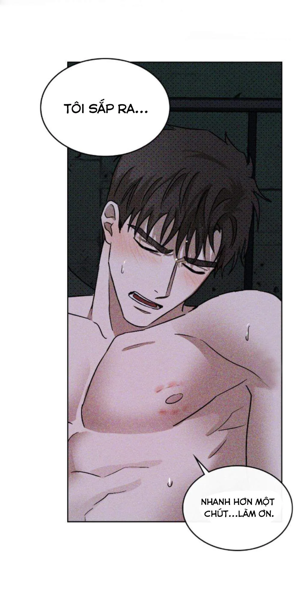 DƯỚI ÁNH ĐÈN XANH Chapter 14 Trang 47