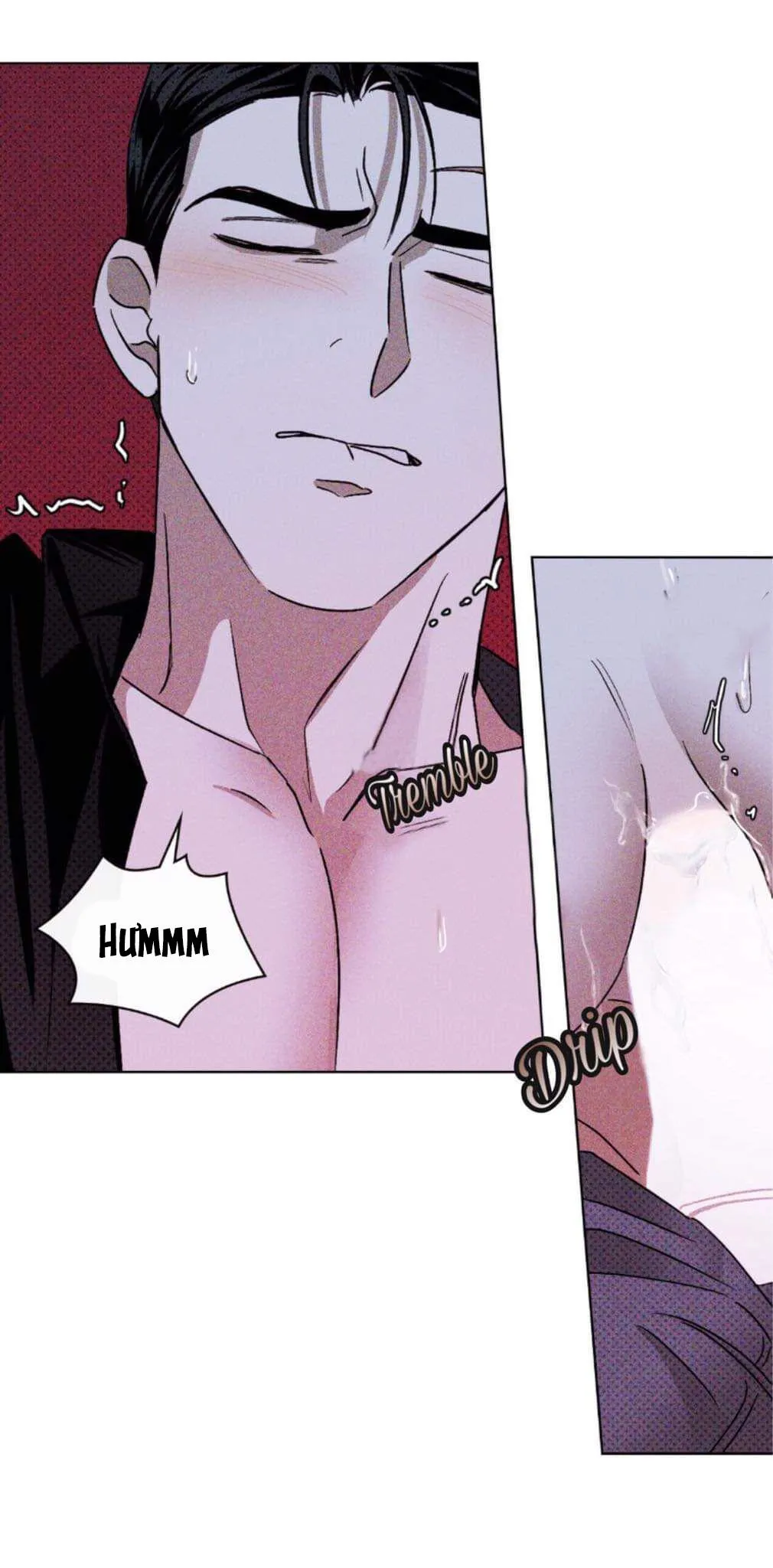 DƯỚI ÁNH ĐÈN XANH Chapter 14 Trang 49