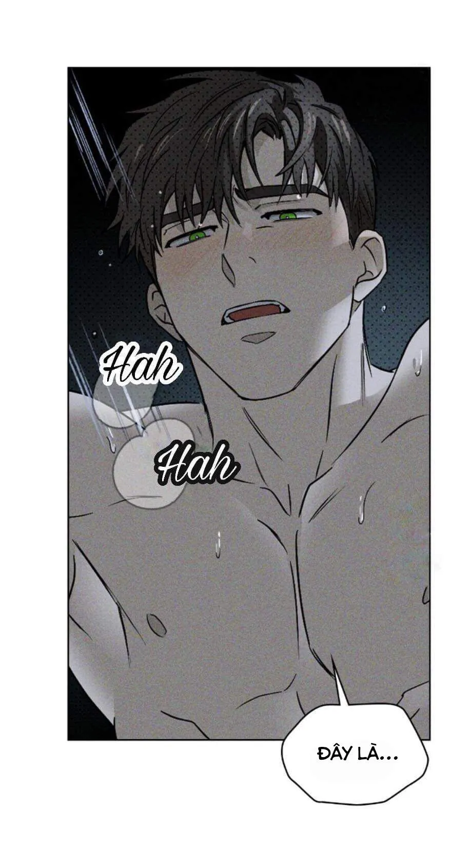 DƯỚI ÁNH ĐÈN XANH Chapter 15 Trang 4