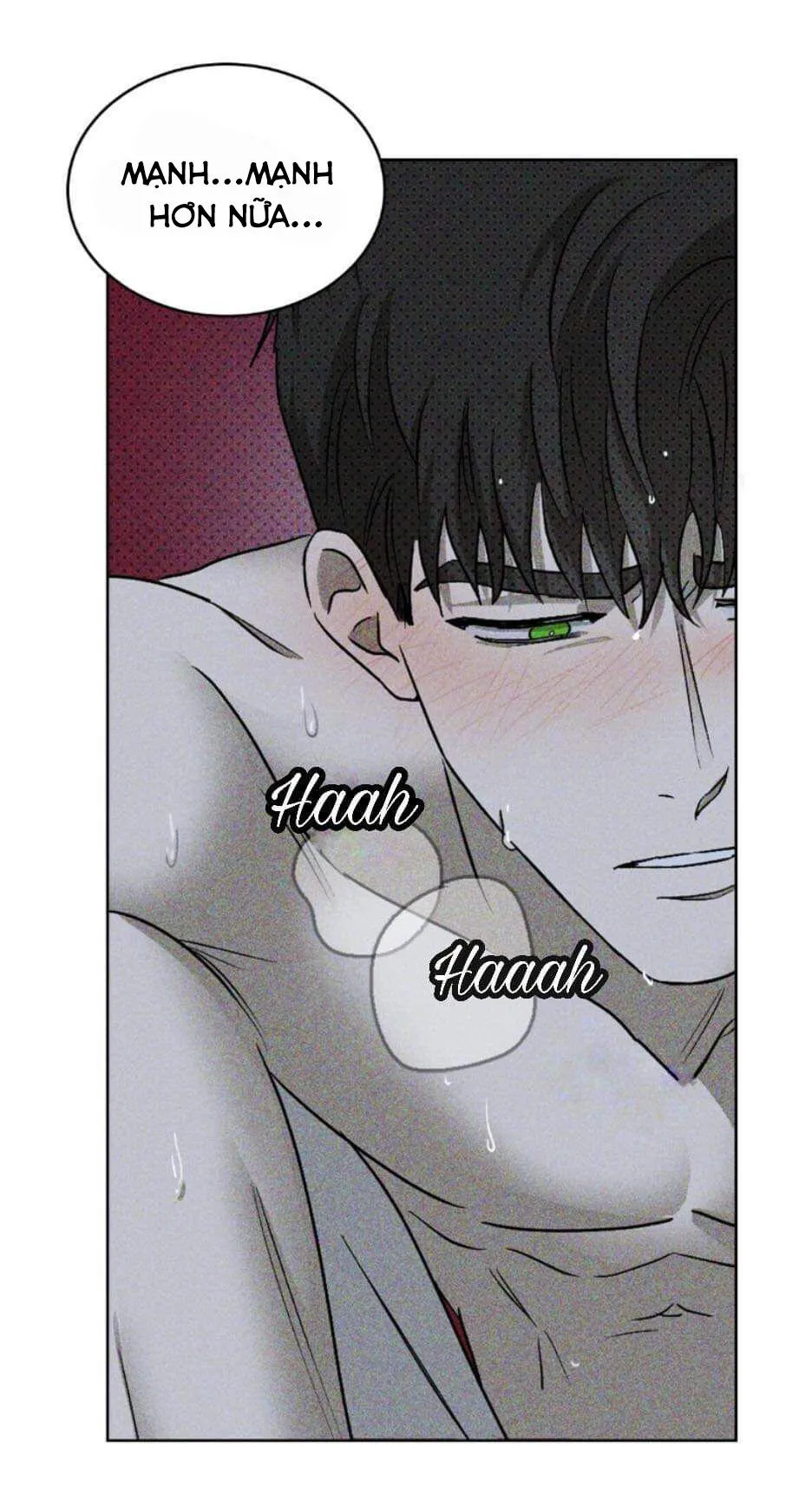 DƯỚI ÁNH ĐÈN XANH Chapter 15 Trang 20