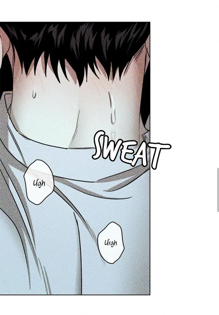 DƯỚI ÁNH ĐÈN XANH Chapter 23 Trang 15