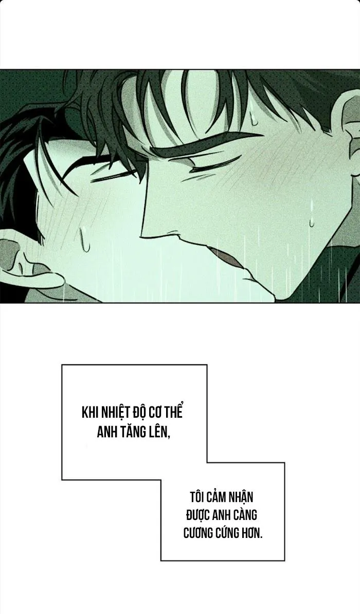 DƯỚI ÁNH ĐÈN XANH Chapter 24 Trang 58