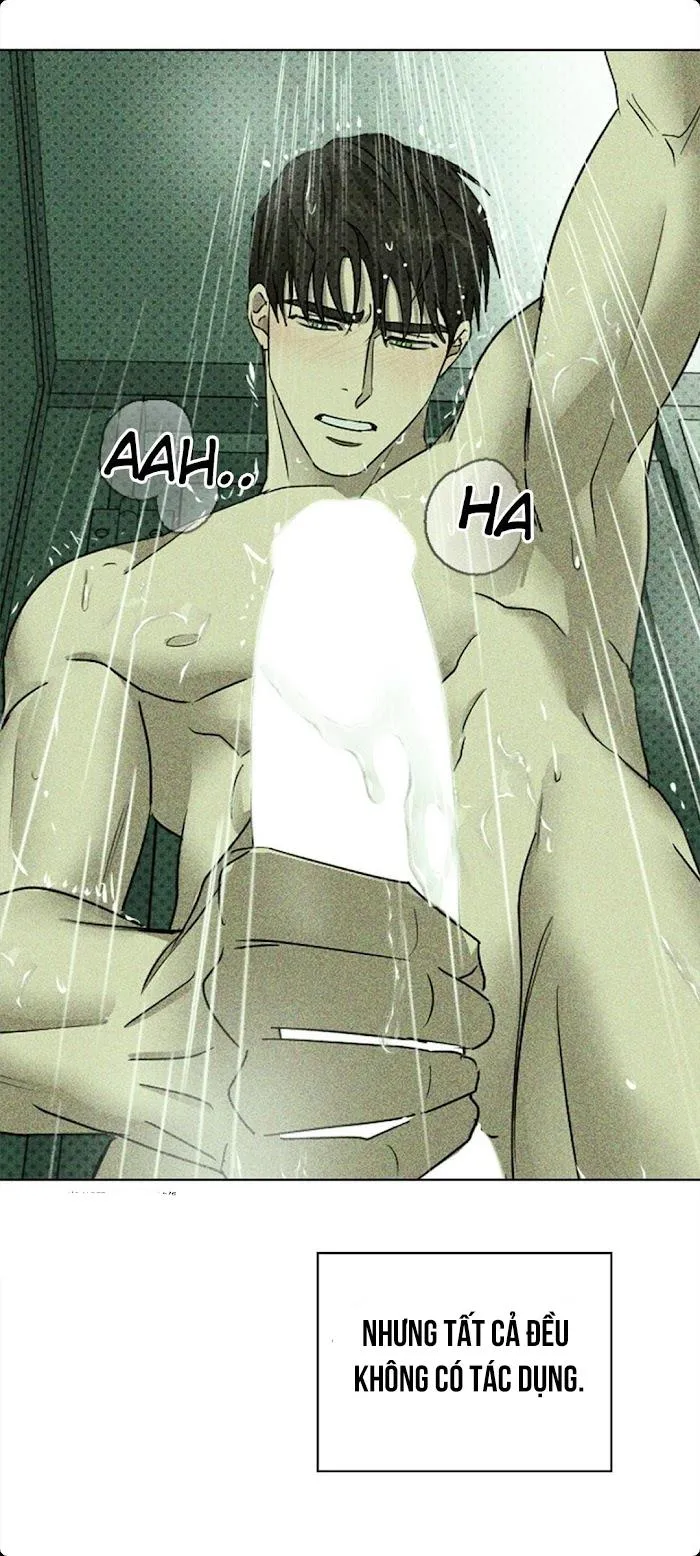 DƯỚI ÁNH ĐÈN XANH Chapter 24 Trang 61