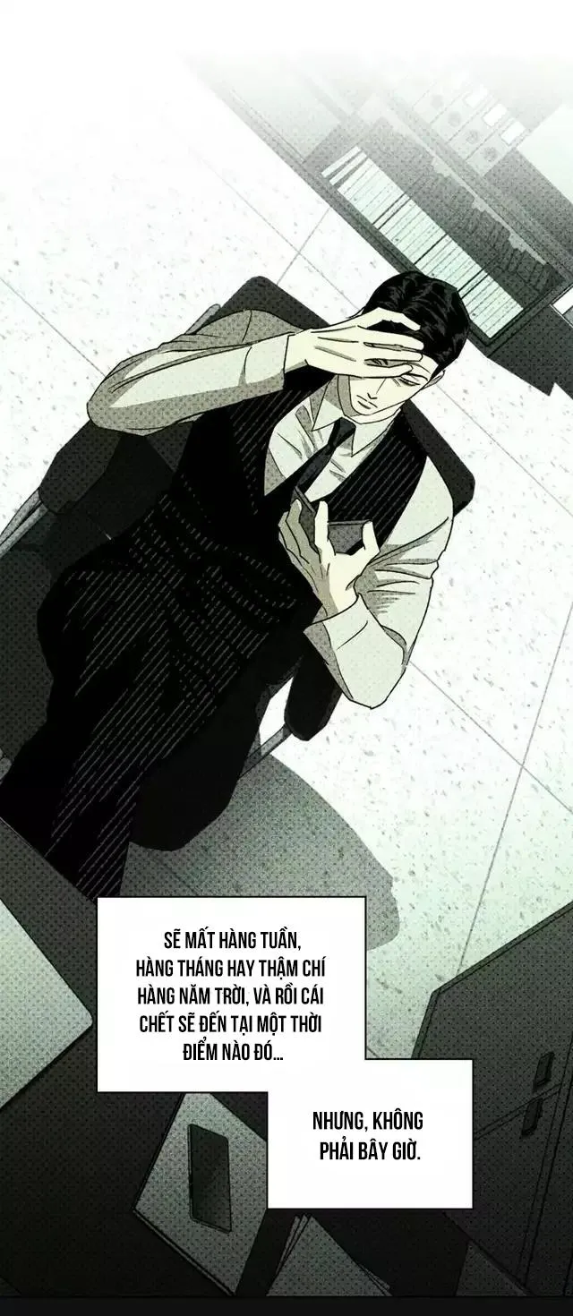 DƯỚI ÁNH ĐÈN XANH Chapter 25 Trang 17