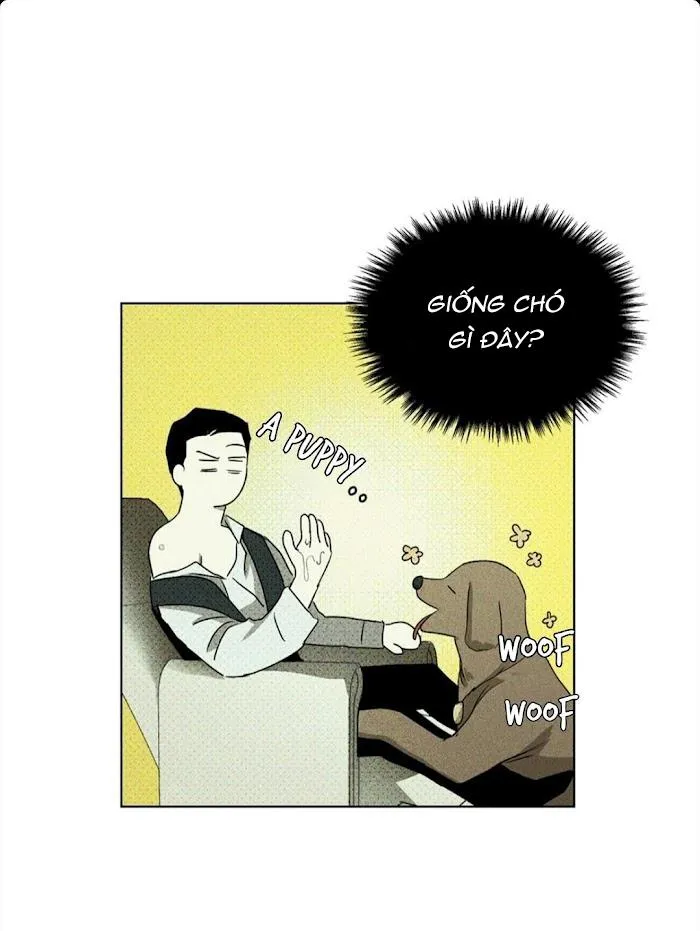 DƯỚI ÁNH ĐÈN XANH Chapter 26 Trang 23