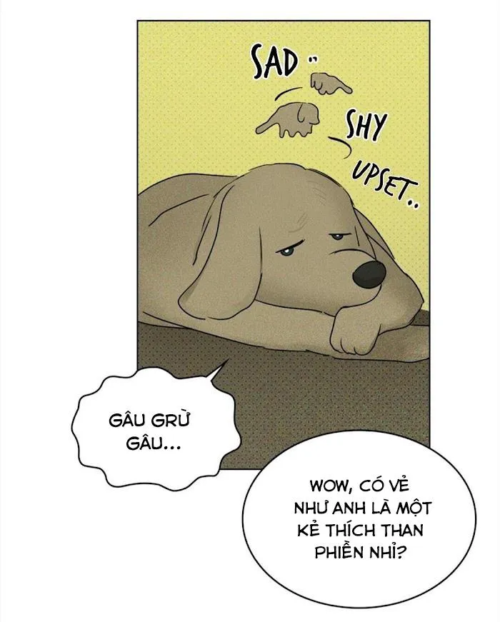 DƯỚI ÁNH ĐÈN XANH Chapter 26 Trang 26