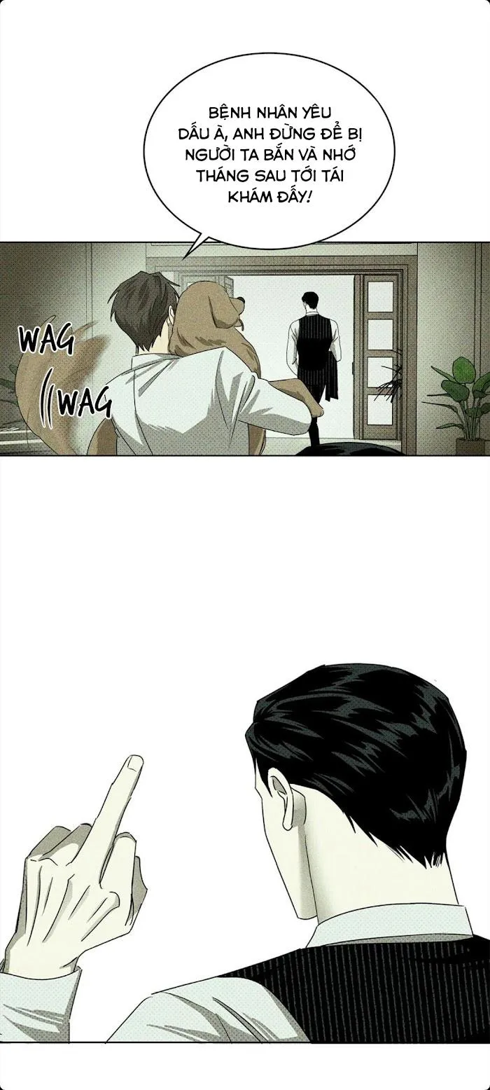 DƯỚI ÁNH ĐÈN XANH Chapter 26 Trang 35