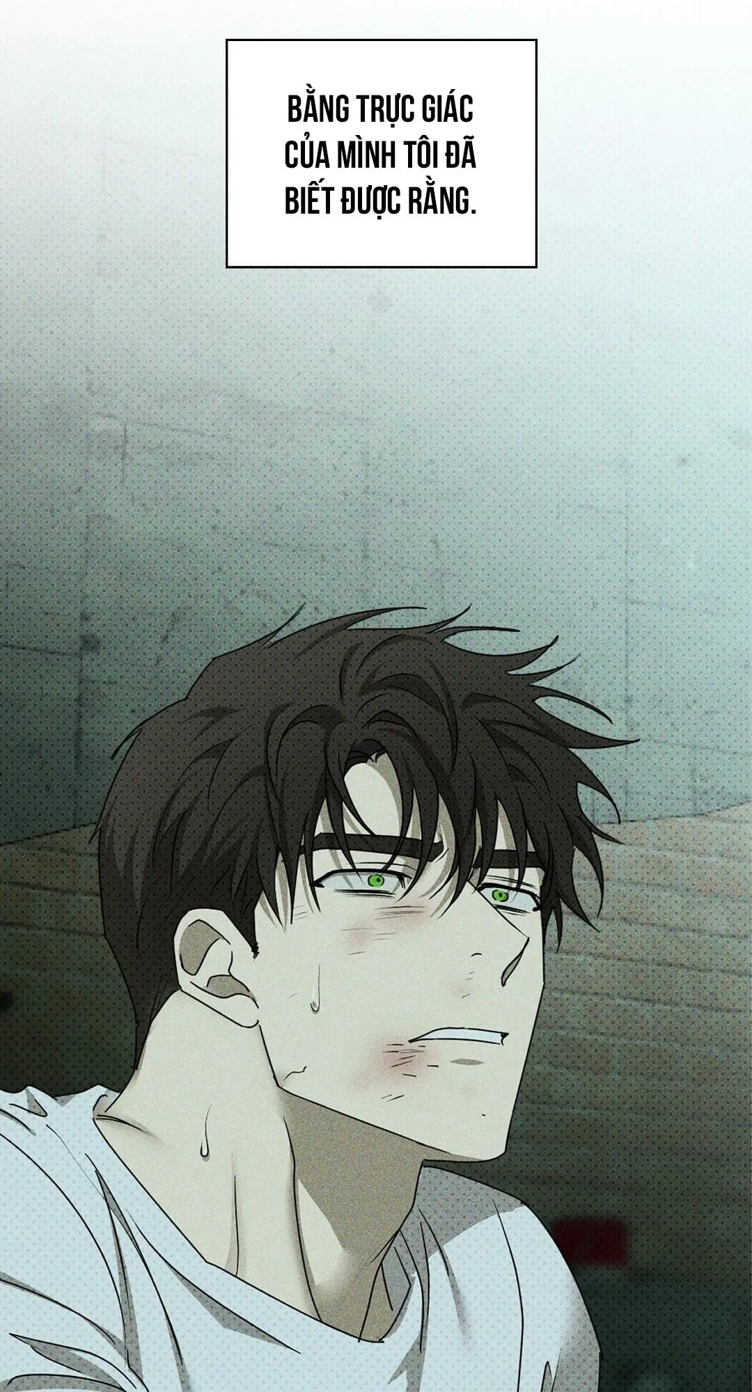 DƯỚI ÁNH ĐÈN XANH Ss2 Chapter 30 Trang 5