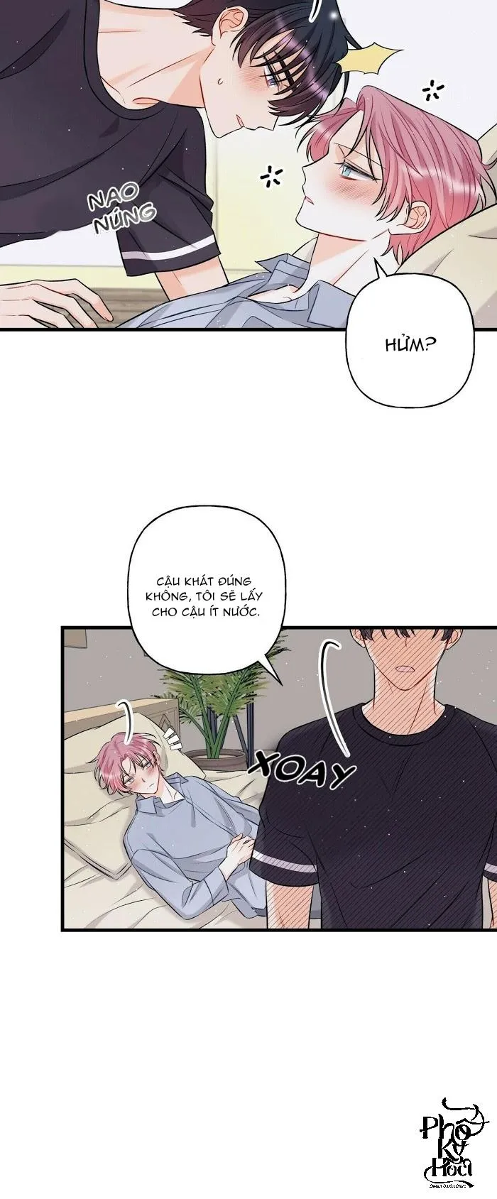 Dưới Ánh Hào Quang Chapter 10 Trang 3