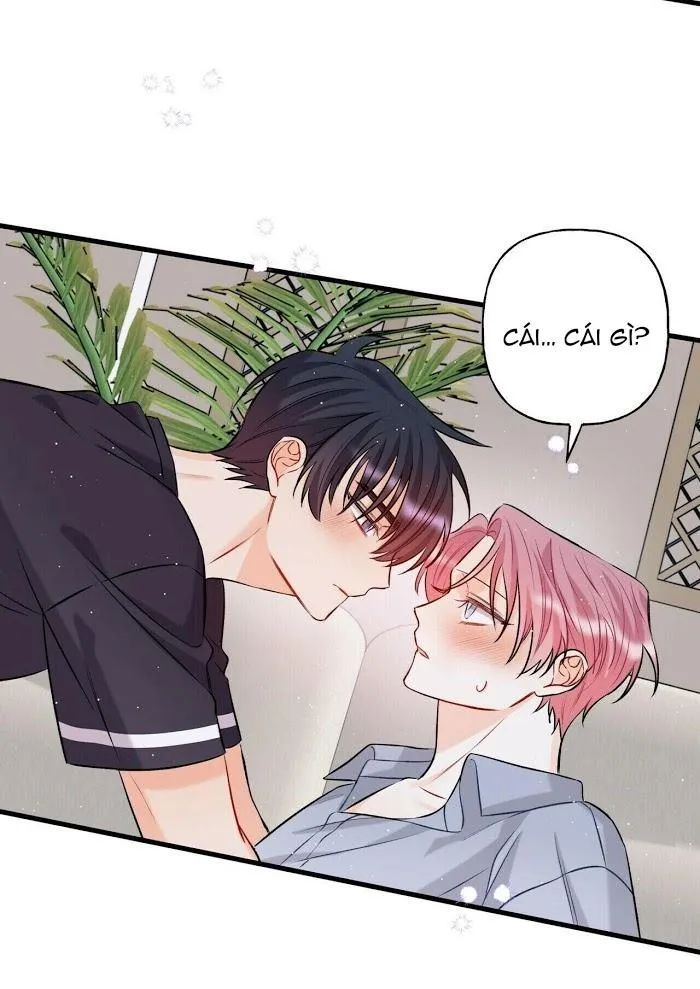 Dưới Ánh Hào Quang Chapter 10 Trang 13