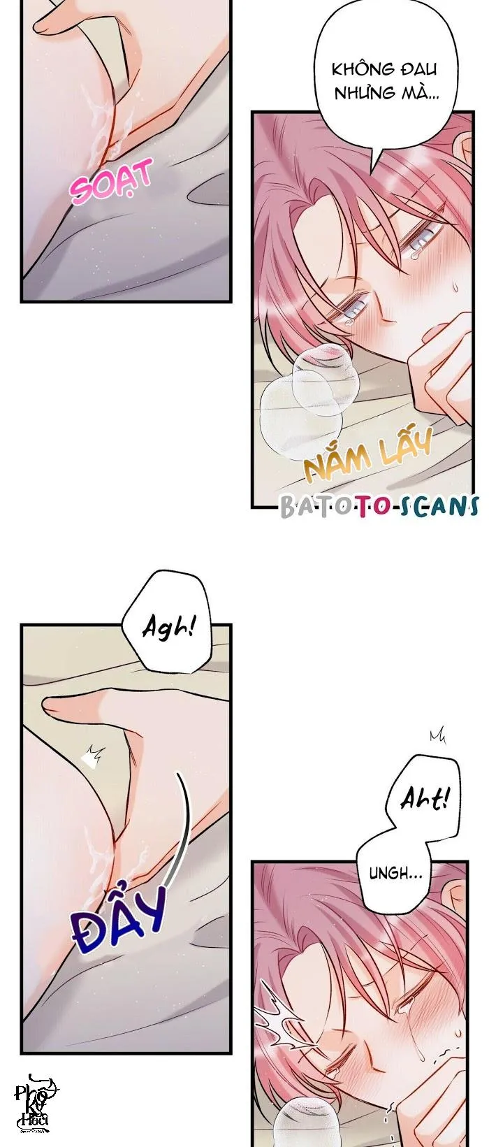 Dưới Ánh Hào Quang Chapter 10 Trang 24