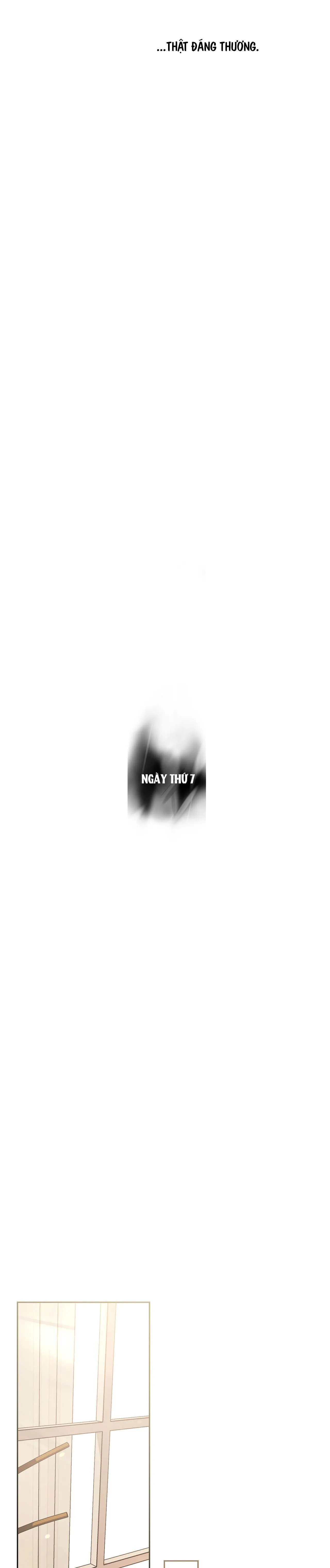 DƯỚI LỤC ĐỊA XANH Chapter 7 Trang 26