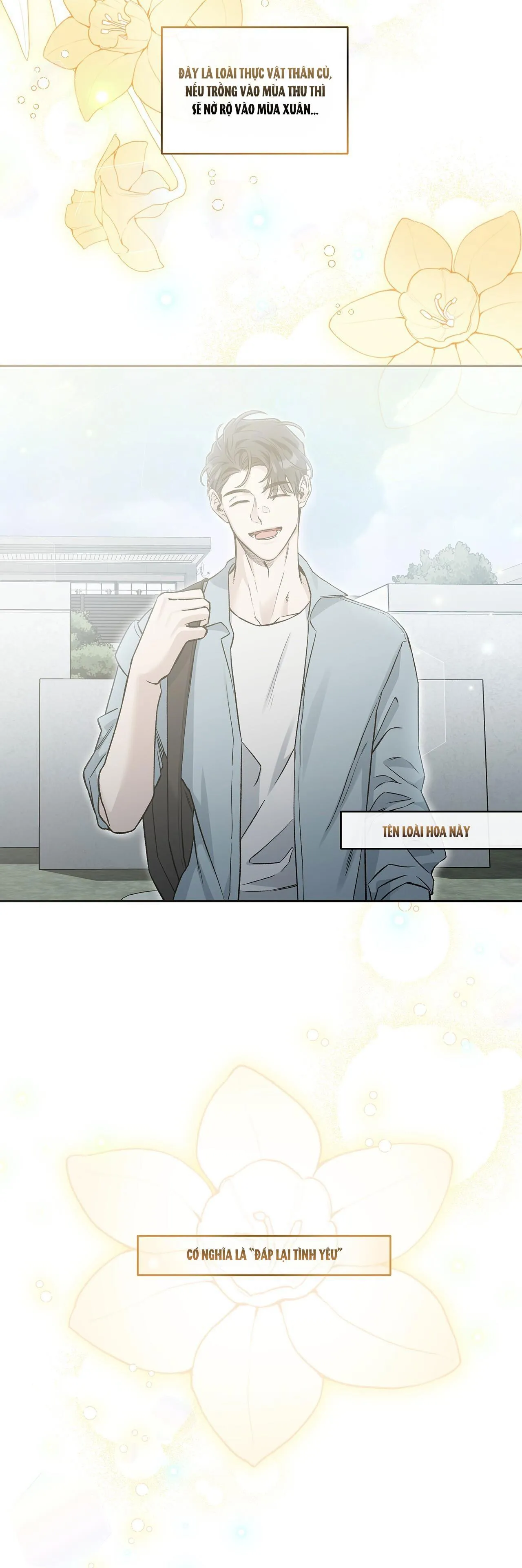 DƯỚI LỤC ĐỊA XANH Chapter 9 Trang 39