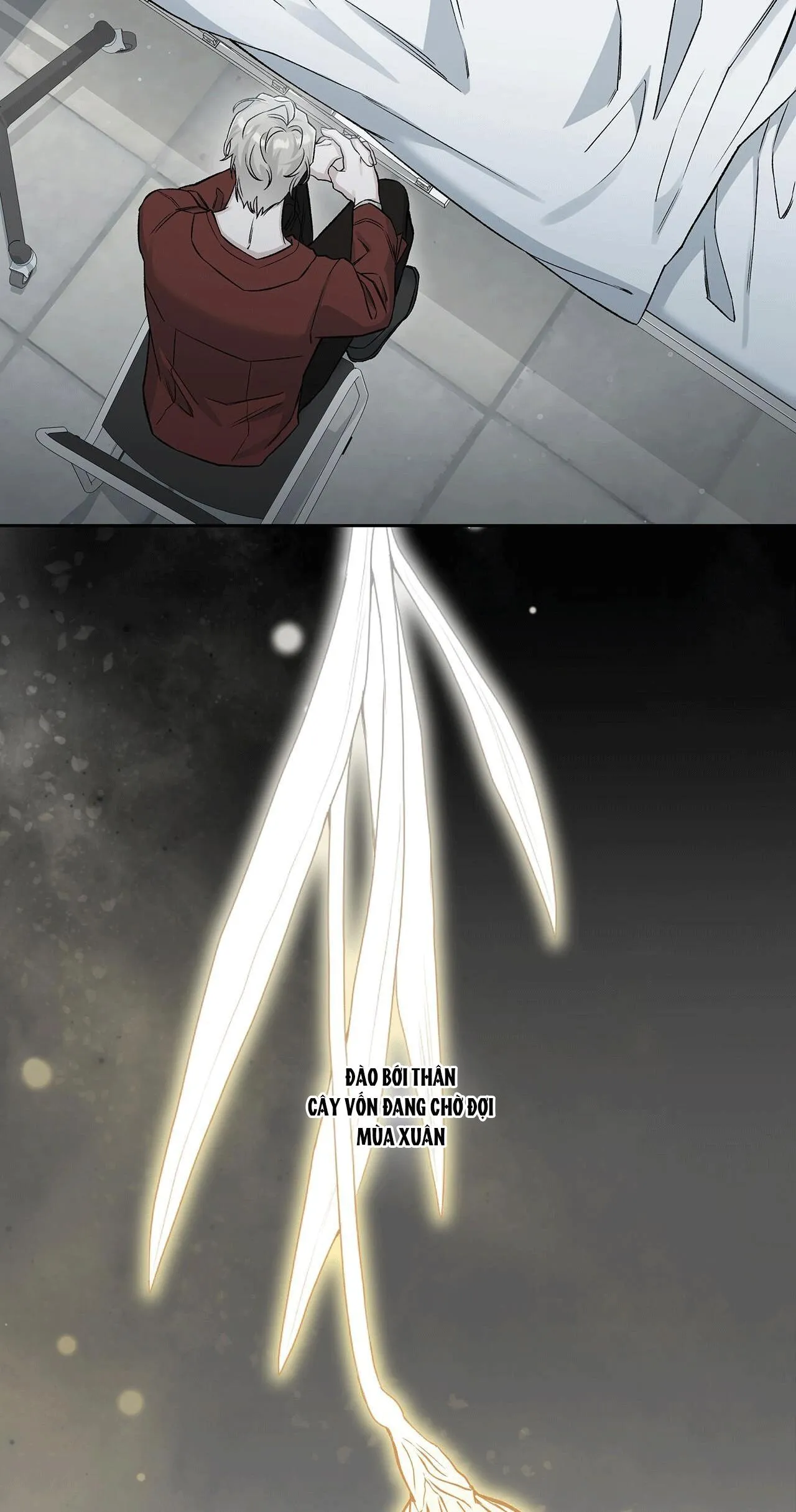 DƯỚI LỤC ĐỊA XANH Chapter 10 Trang 36