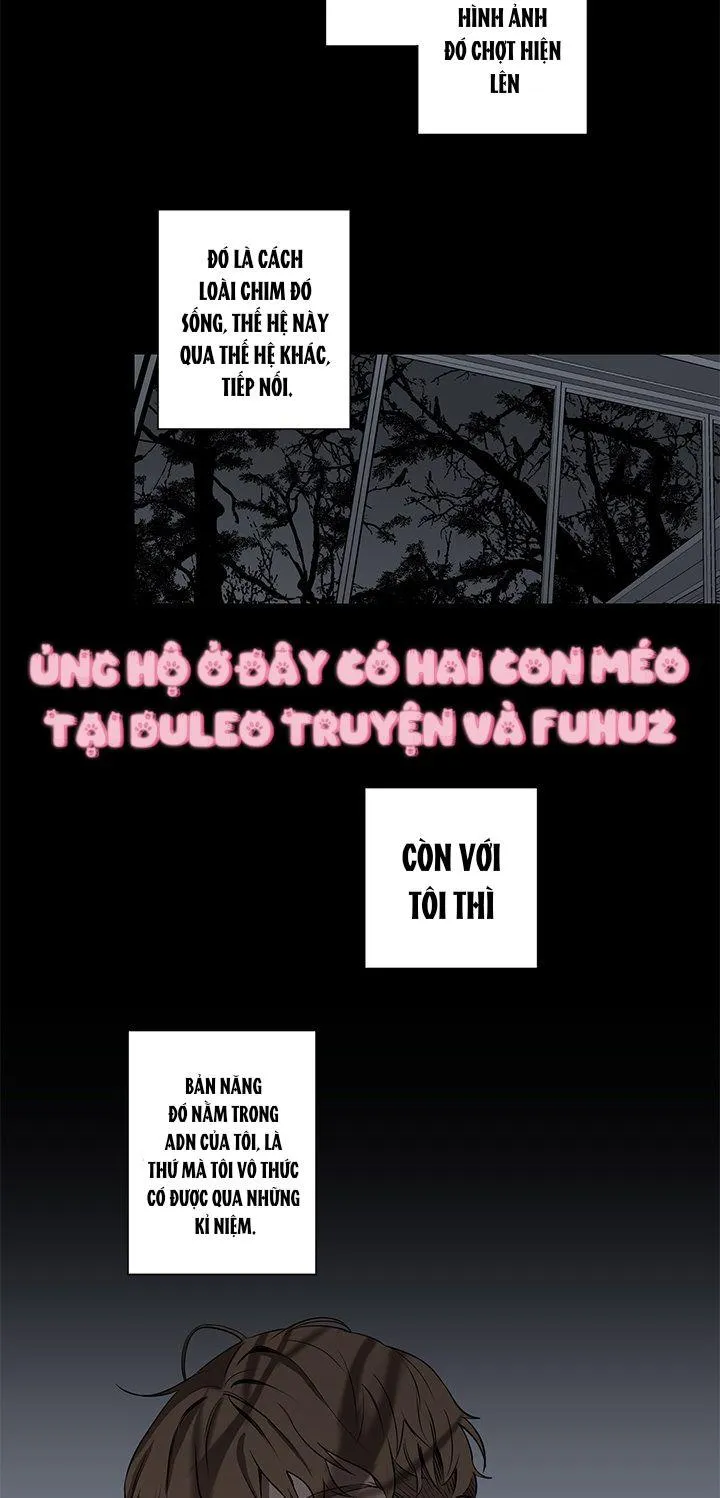 Đường Chim Bay Chapter 5 Trang 20