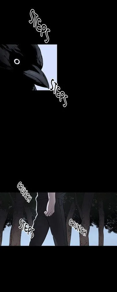 Đường Chim Bay Chapter 1 Trang 4