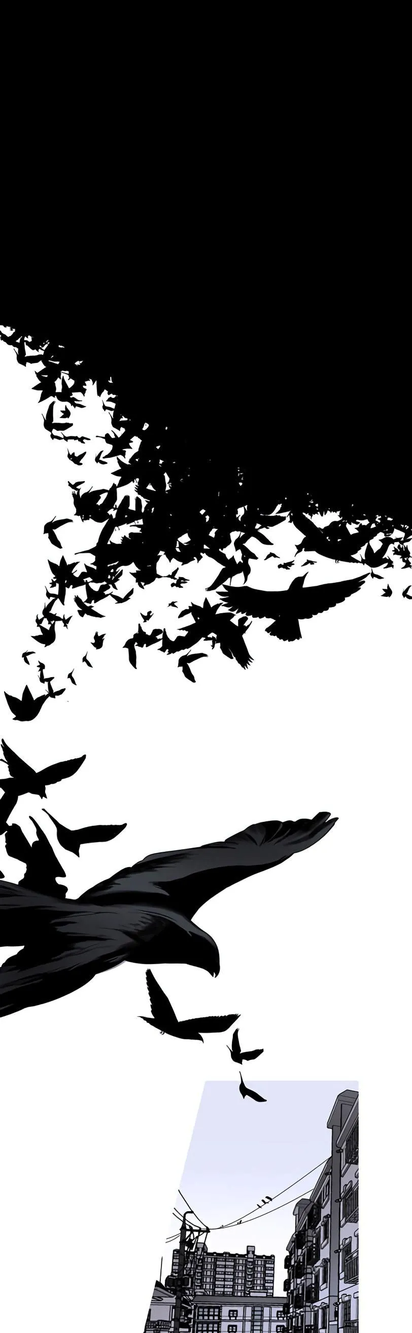 Đường Chim Bay Chapter 1 Trang 6