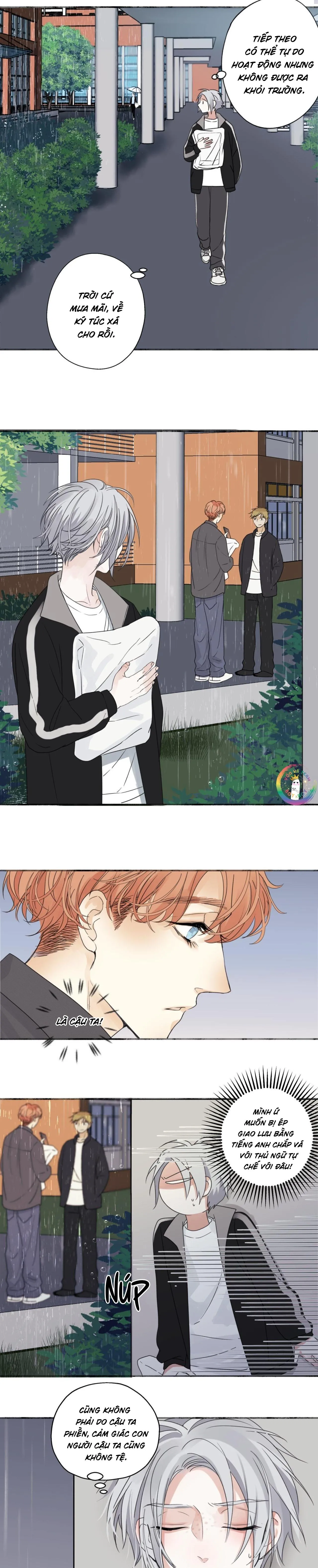 Dương Sinh Tiểu Tuyết (DROP) Chapter 21 Trang 3